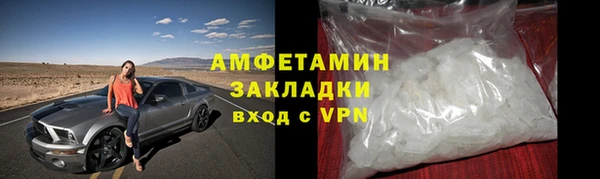 прущие грибы Беломорск