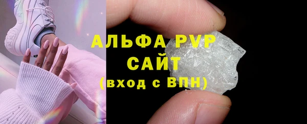 прущие грибы Беломорск