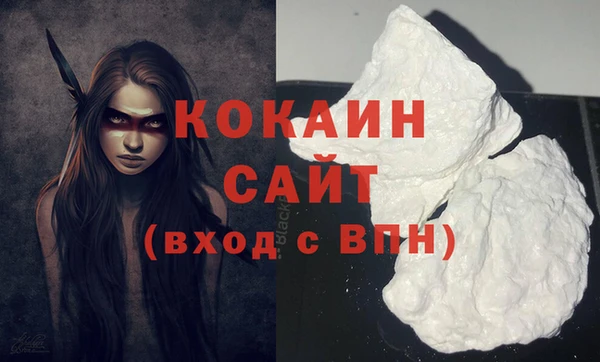 кокс Белокуриха